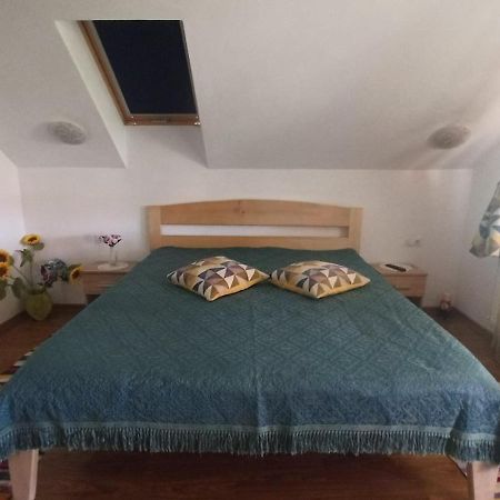 Agropensiunea Florina-Maria Branistea  Extérieur photo