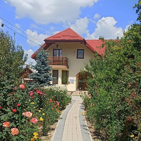 Agropensiunea Florina-Maria Branistea  Extérieur photo