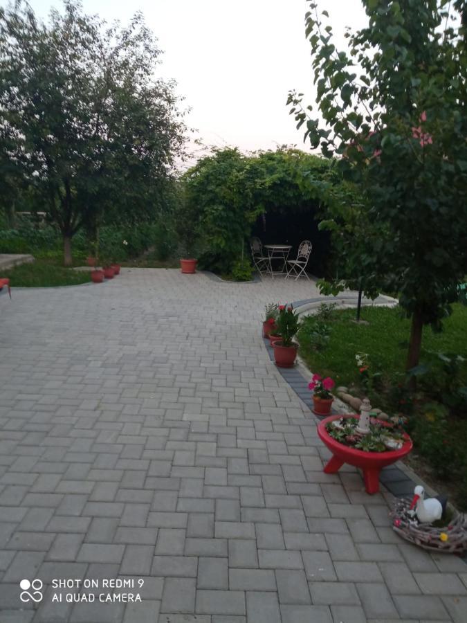 Agropensiunea Florina-Maria Branistea  Extérieur photo