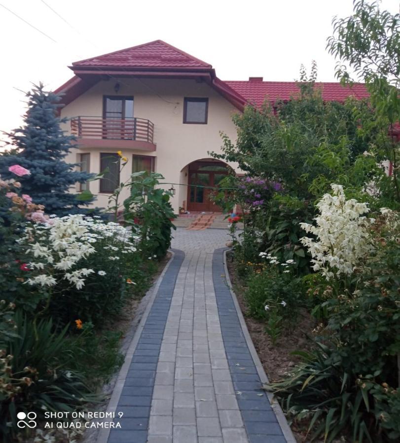 Agropensiunea Florina-Maria Branistea  Extérieur photo