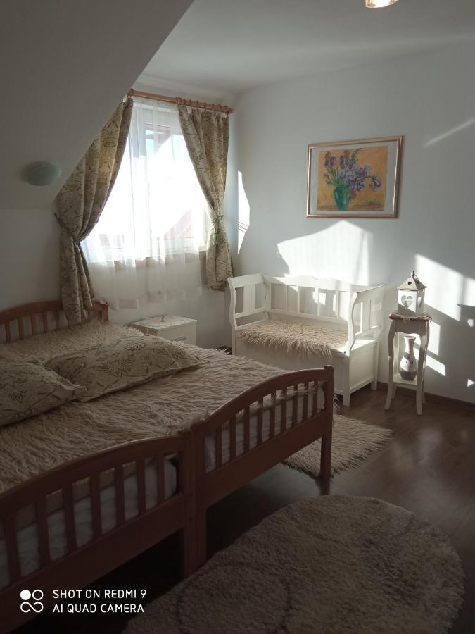 Agropensiunea Florina-Maria Branistea  Extérieur photo