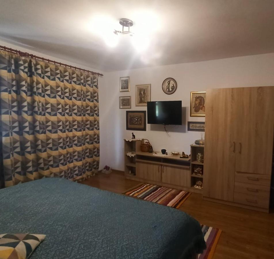 Agropensiunea Florina-Maria Branistea  Extérieur photo