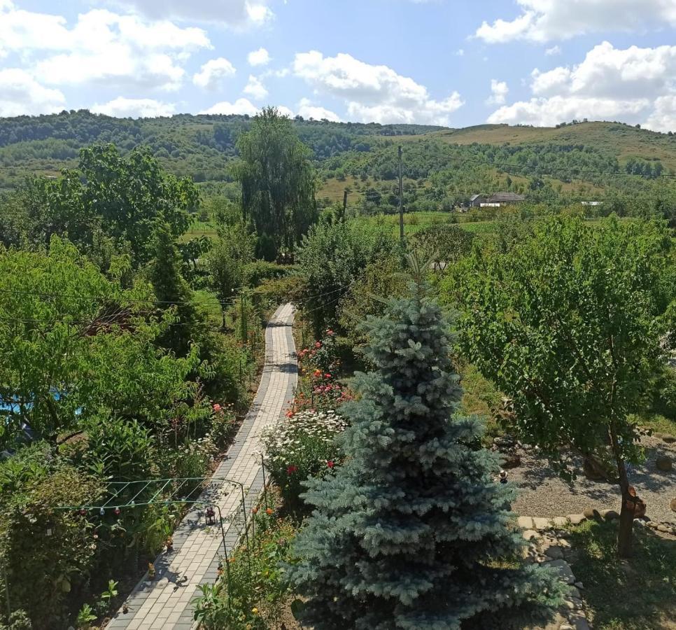 Agropensiunea Florina-Maria Branistea  Extérieur photo