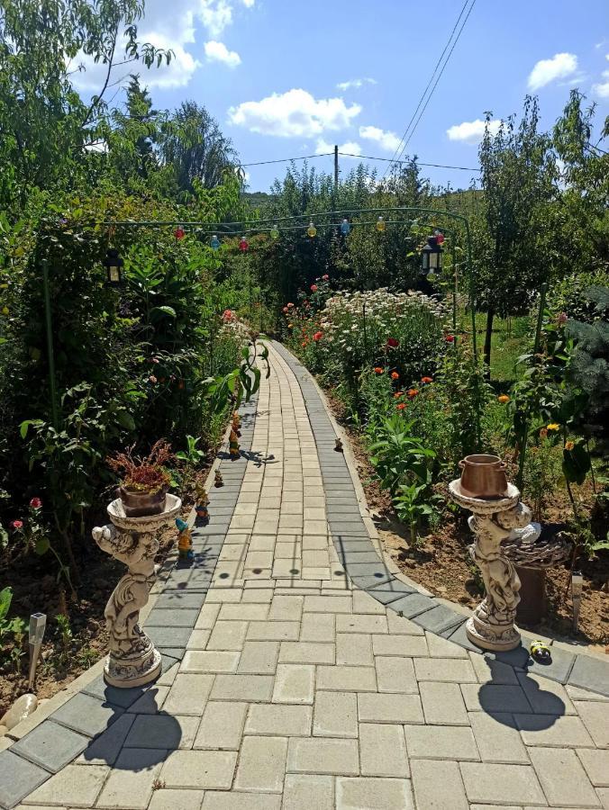 Agropensiunea Florina-Maria Branistea  Extérieur photo